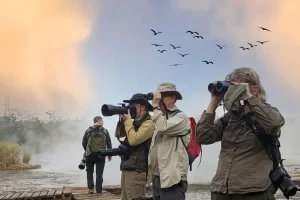 Birding Queen Elizabeth National Park: Best Spots & Species (2026 Guide)