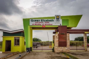 Queen Elizabeth National Park 2026–2027: New Developments, Rates & What to Expect